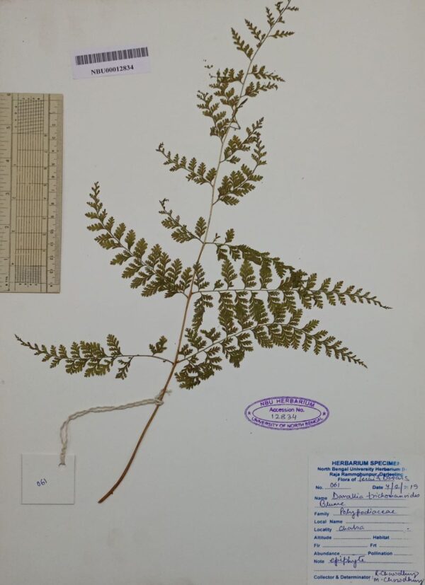 DocScanner 2 Dec 2025 3-46 pm